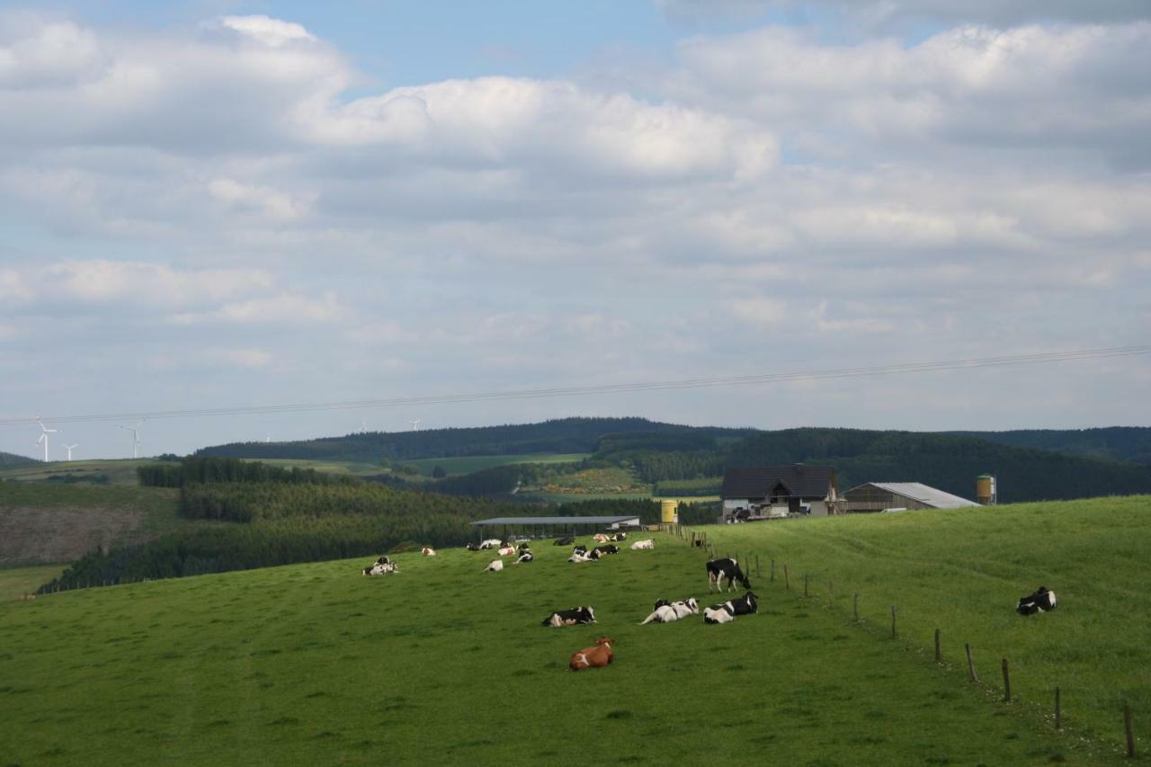Location Panoramagreen Burg Reuland Exterior photo
